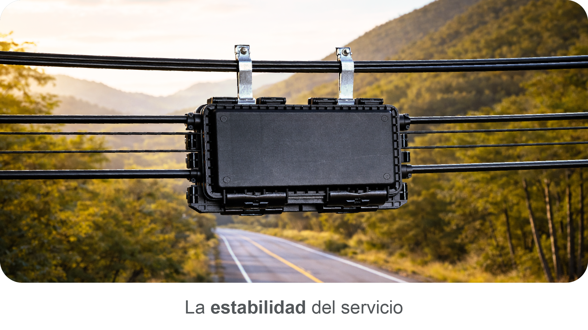 Estabilidad del servicio