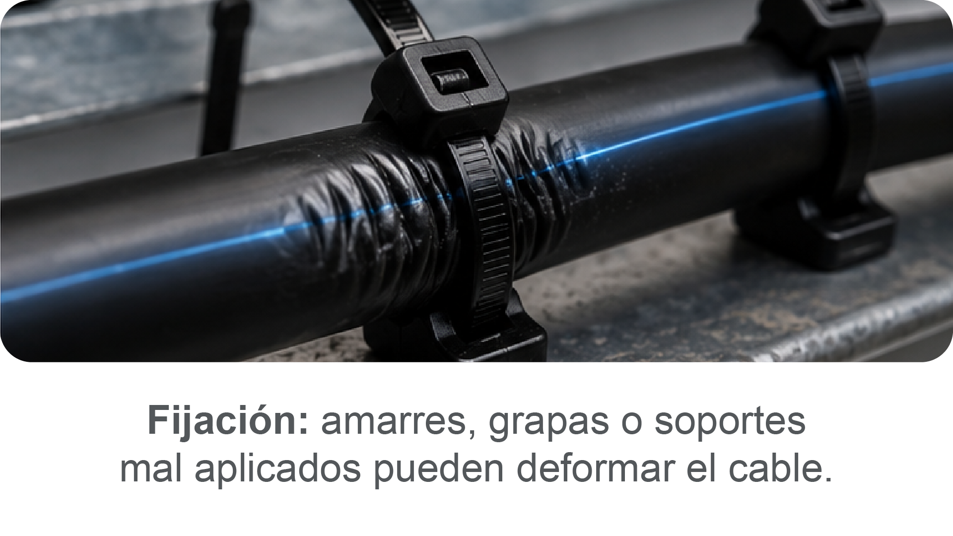 Fijación