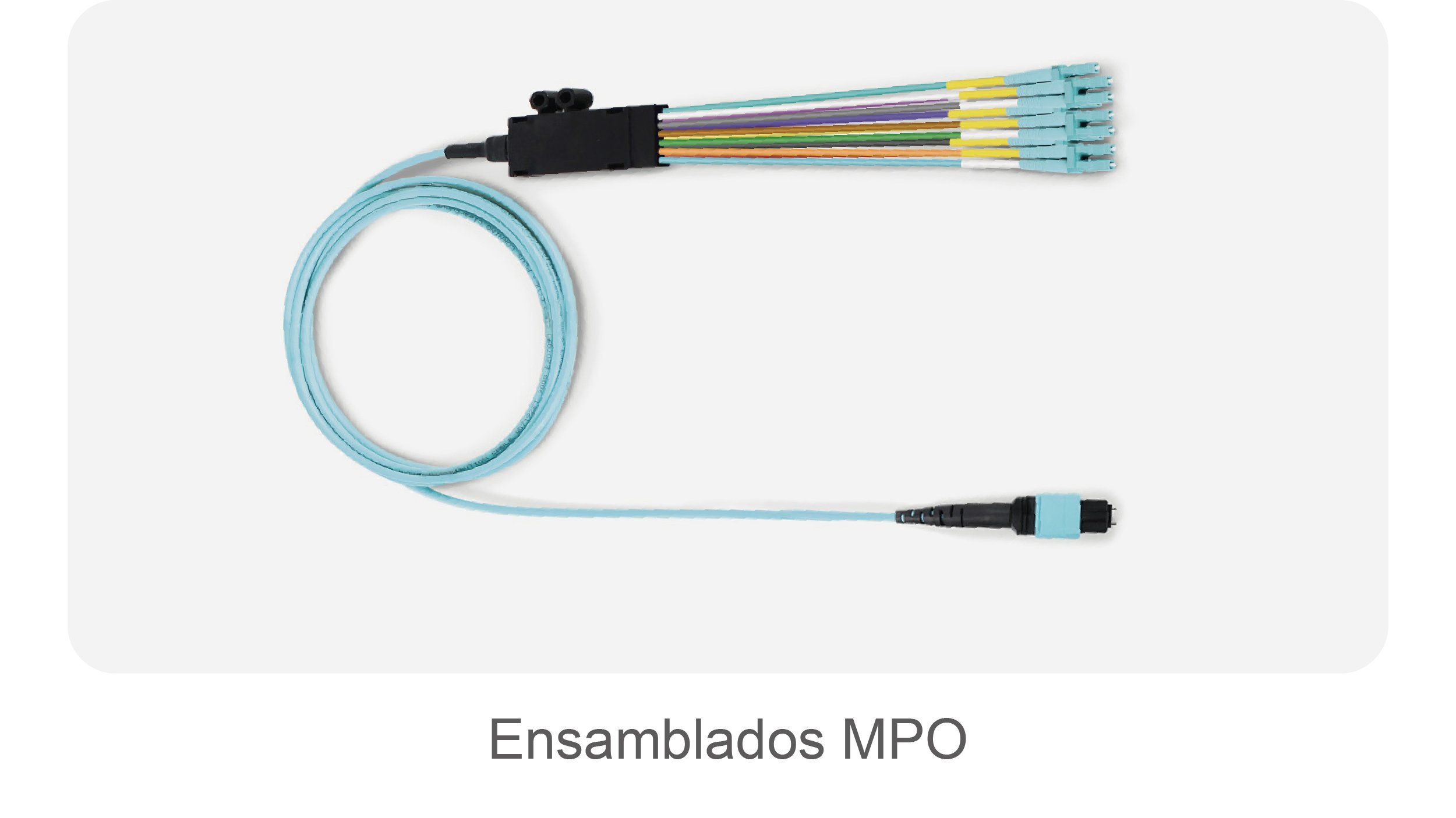 blog inauguración_ensamblados mpo