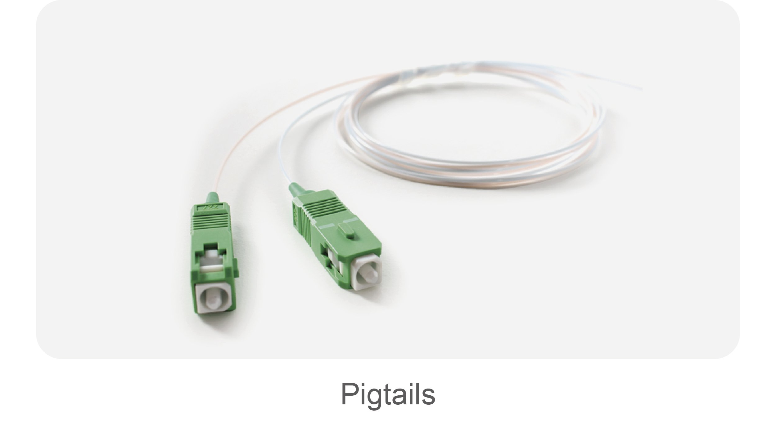 blog inauguración_pigtails