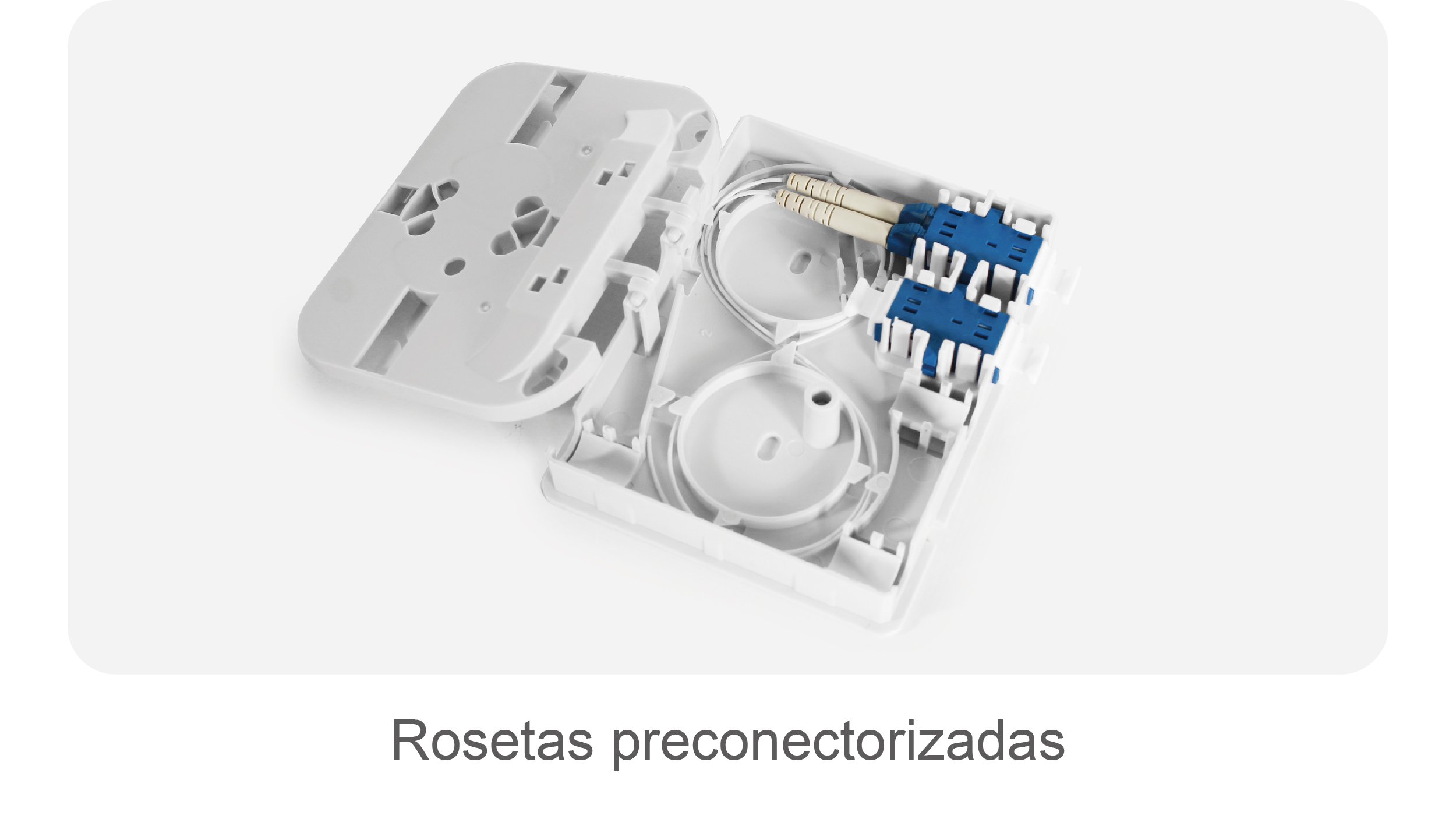 blog inauguración_rosetas preconectorizadas