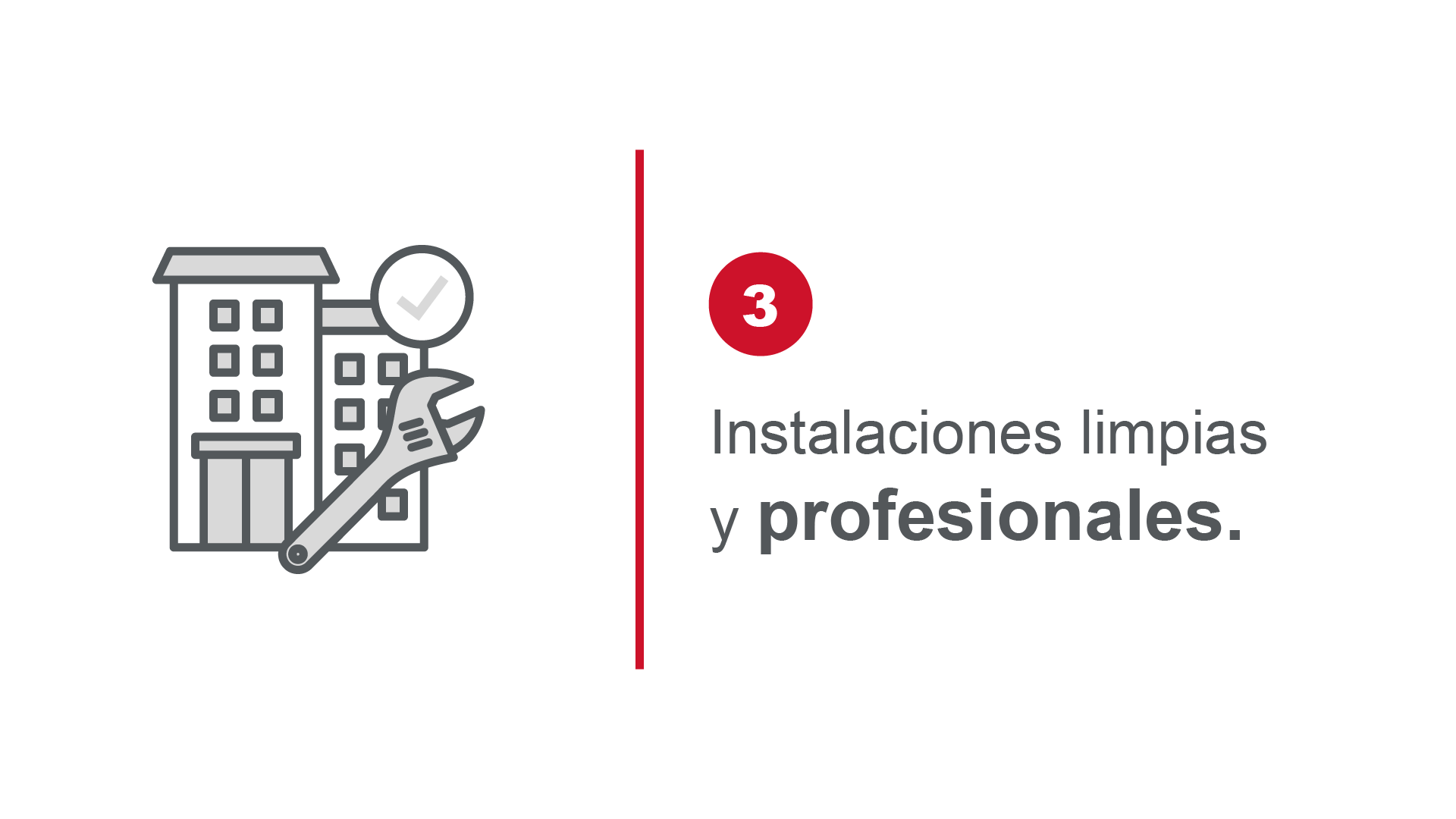Profesional
